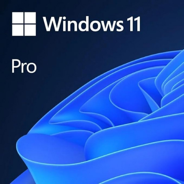 Microsoft Windows 11 Professional 32/64 Bit